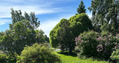 Unique Apartment in Kemi With Sauna Department & Free Parking