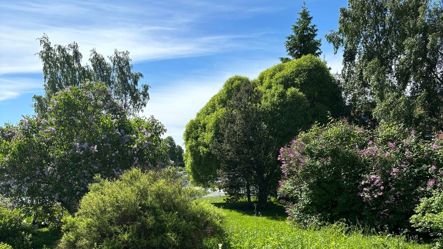 Unique Apartment in Kemi With Sauna Department & Free Parking