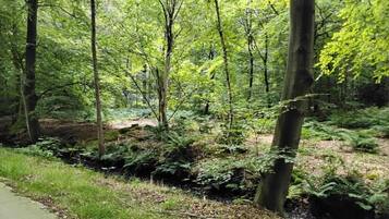 Rumah | Pemandangan dari properti