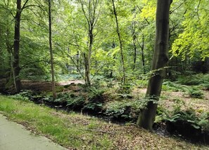 View from property - Chalet in Friesland Near Large Lakes (Sint Nicolaasga)