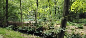 Chalet in Friesland Near Large Lakes