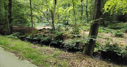 Chalet in Friesland Near Large Lakes