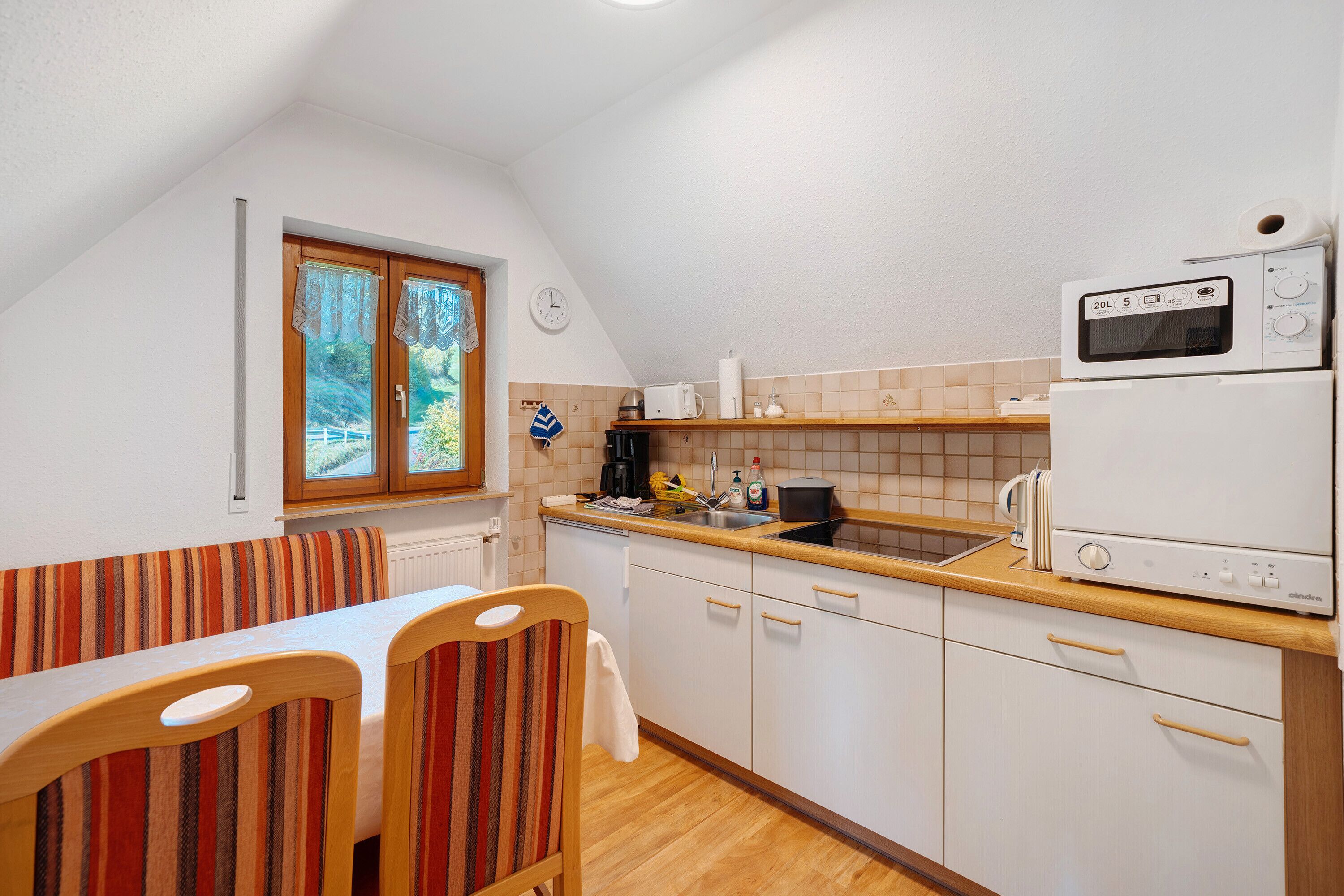 Kühlschrank, Mikrowelle, Herdplatte, Geschirrspüler