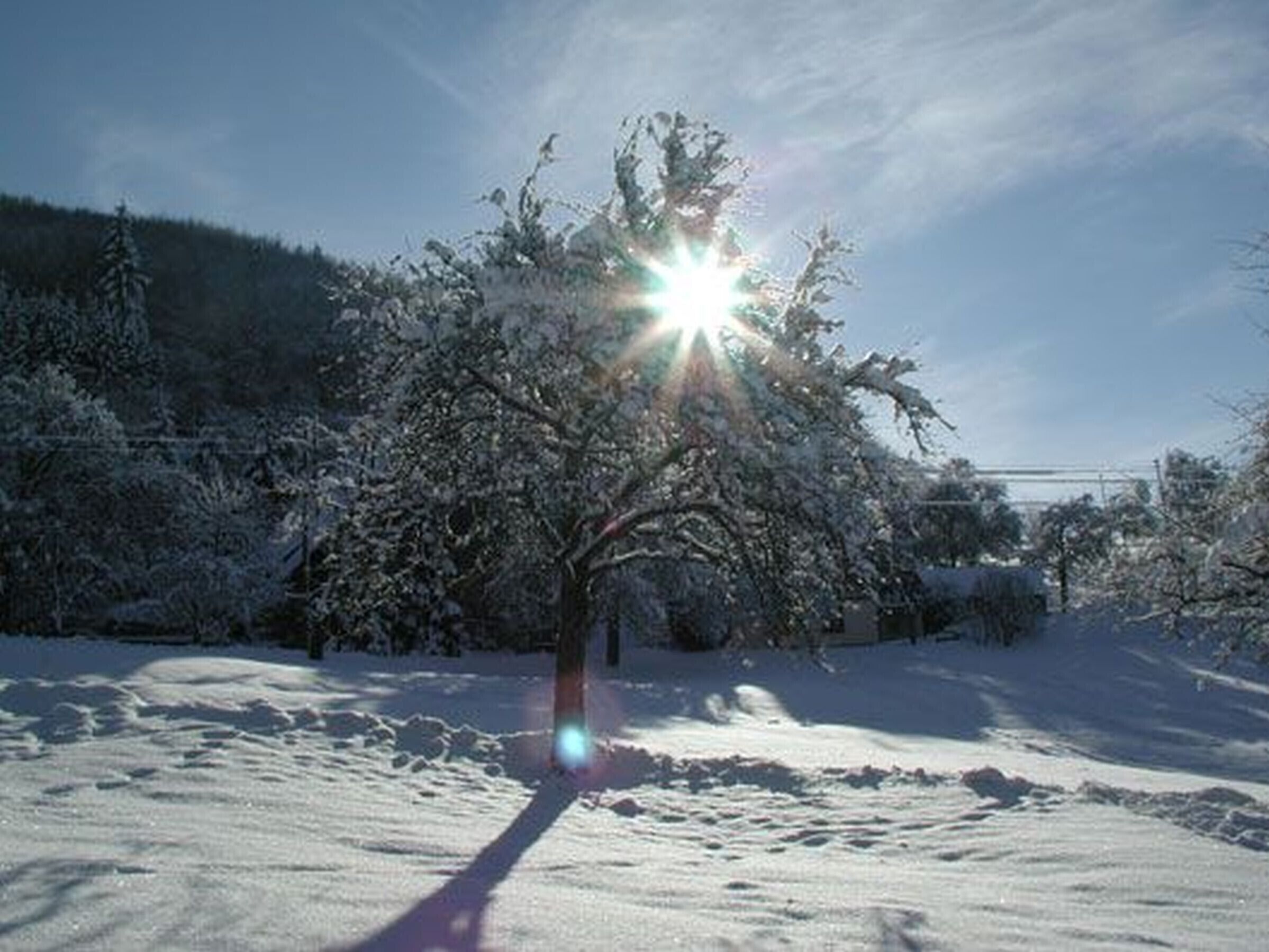 Paisagem coberta de neve com uma árvore e céu claro.