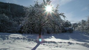 A snow-covered landscape with a tree and a clear sky. - Apartment 'No. 2.1 Rotkelchen' with Shared Terrace, Shared Garden and Wi-Fi (Freiamt)