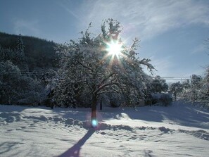Paisaje nevado con un árbol y cielo despejado.