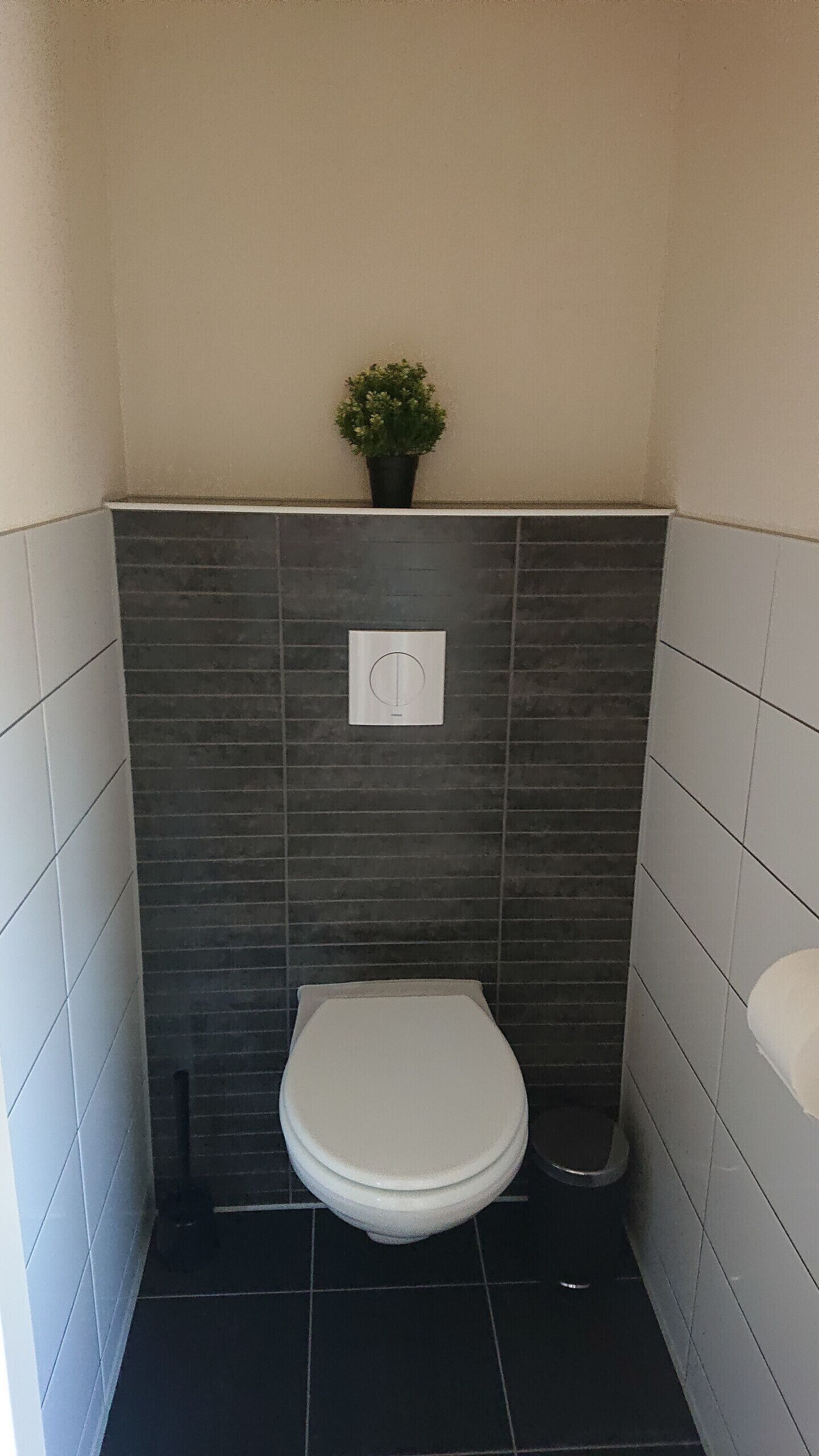 A small, enclosed bathroom with a toilet, a potted plant, and a wall-mounted light switch.