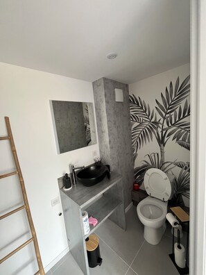 Douche, serviettes fournies, papier toilette