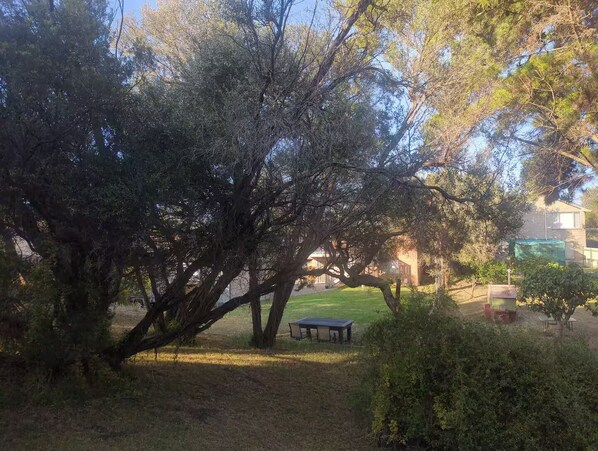 A park with a picnic table and a large tree.
