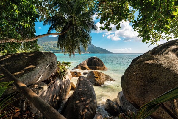 Beach - Beach House Beau Vallon (Mahe Island)