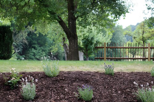 1 Zimmer-Studio-Apartment mit Terrasse und WLAN