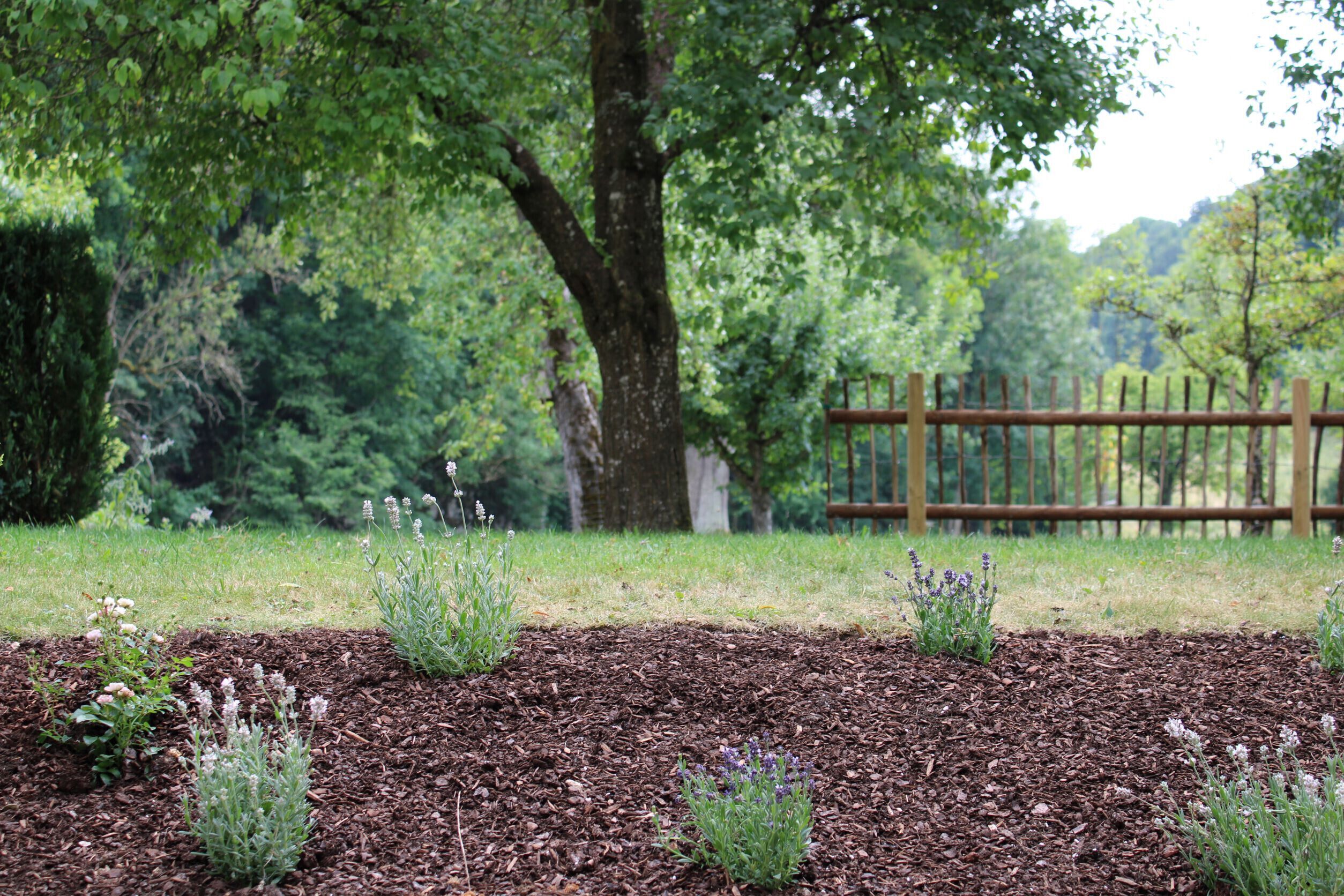 Áreas de la propiedad