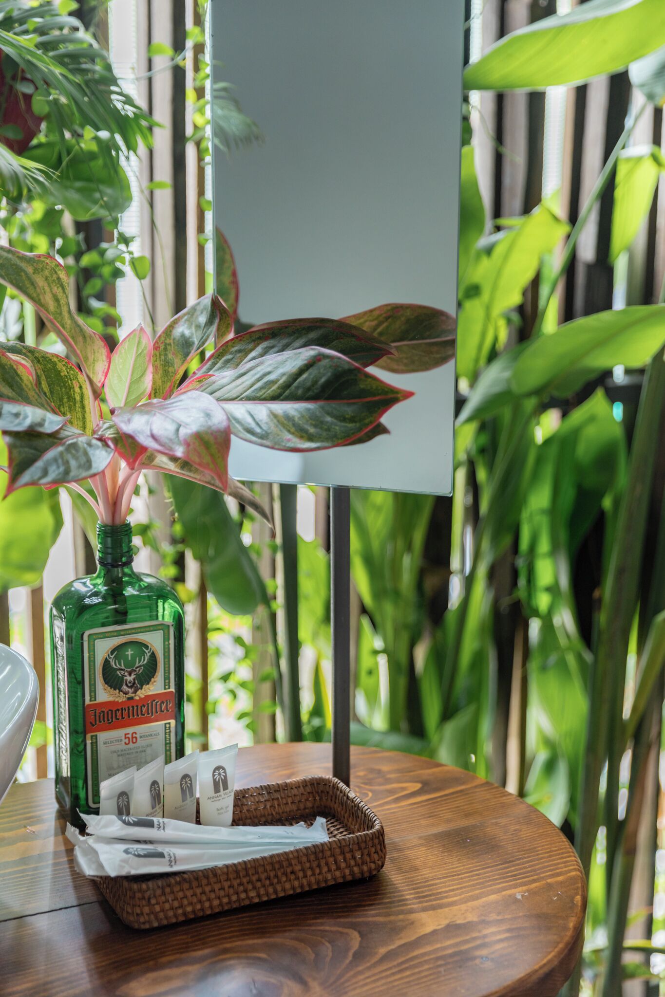 Une table en bois sur laquelle se trouvent une bouteille de liqueur verte, un plateau en osier et une pancarte blanche, dans une pièce décorée de plantes vertes.