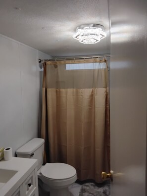 Shower, towels, toilet paper