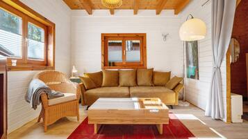 Télévision, cheminée, chaîne hi-fi