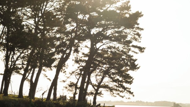 A boat on a sandy shore with trees in the background. - Carefully renovated apartment with sea view in Saint Cado (Belz)