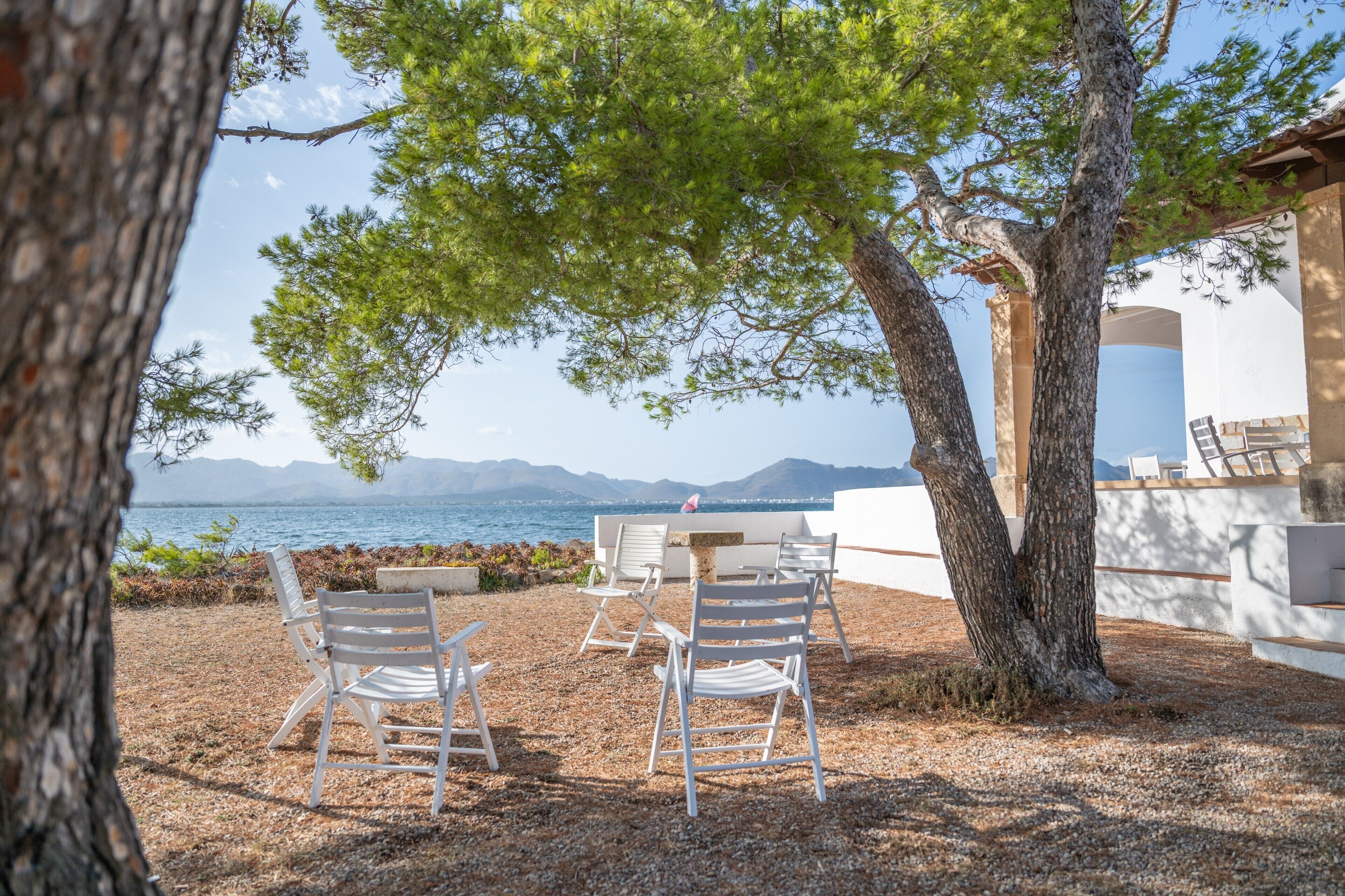 A patio with outdoor seating, a tree, and a view of the sea.
