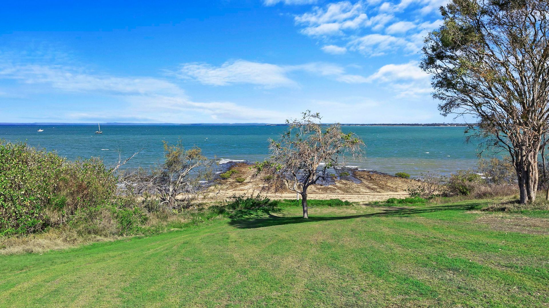 Eine Küstenlandschaft mit einer Wiese, einem Baum und Blick auf das Meer.