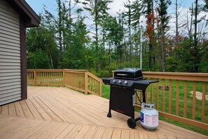 Property grounds - Up North Getaway (Gaylord)