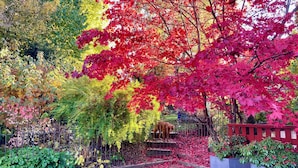 A garden with a variety of trees, including red maple trees, and a metal fence. - Currently not available via Fewo direkt (Söll)