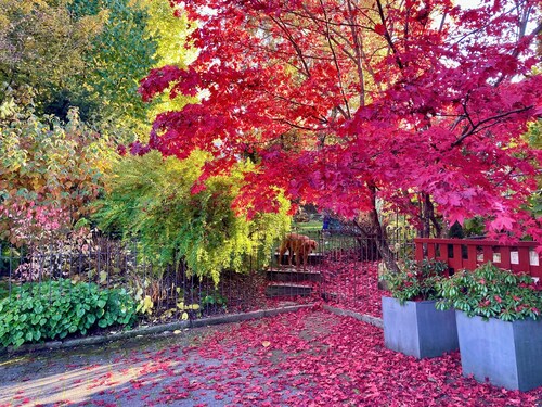 Spacious, pet-friendly vacation apartment with terrace and garden