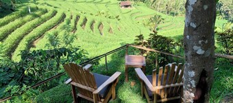 Secluded Wooden Cabin Overlooking Rice Terraces