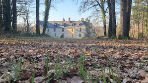 A large building surrounded by trees and a leaf-covered ground. - Château de Valesne (Saché)