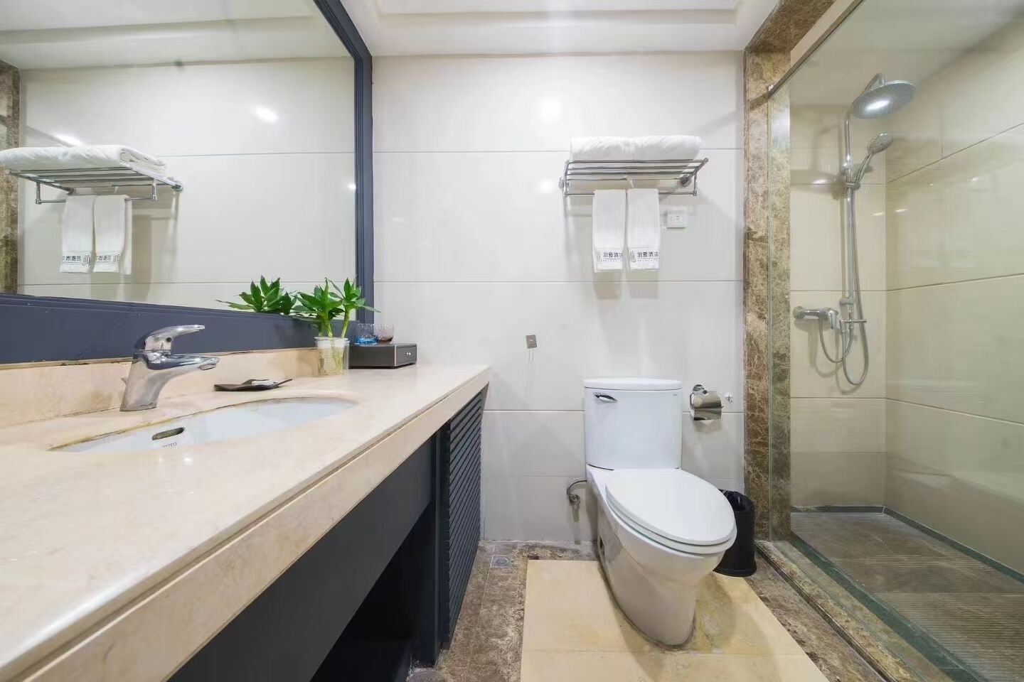 A modern bathroom with a sink, toilet, and glass-enclosed shower.