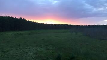 Paesaggio naturale con bosco e prato aperto.