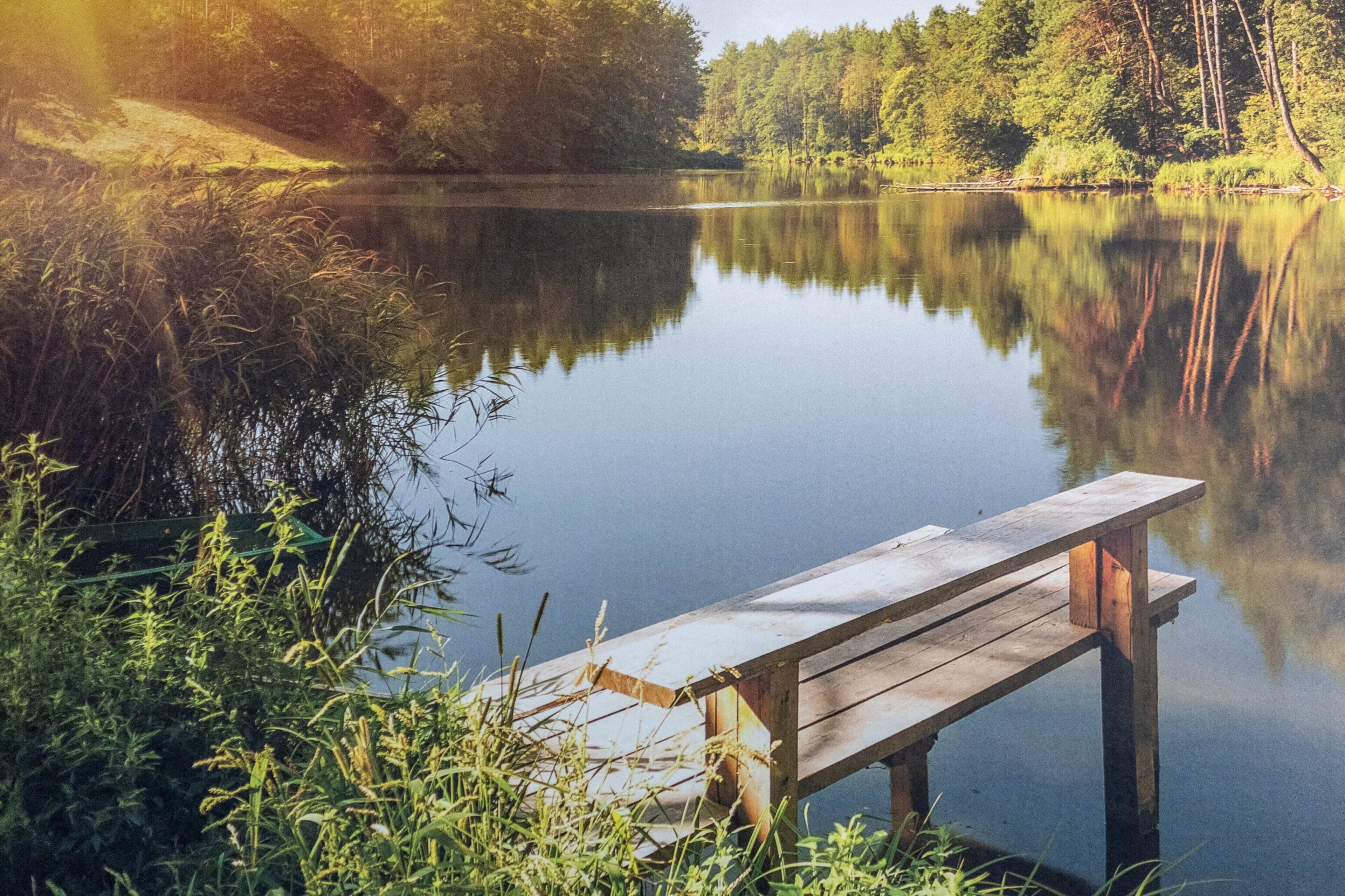 A wooden dock extending into a calm lake surrounded by dense forest.