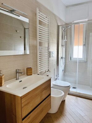 Shower, hair dryer, bidet, towels