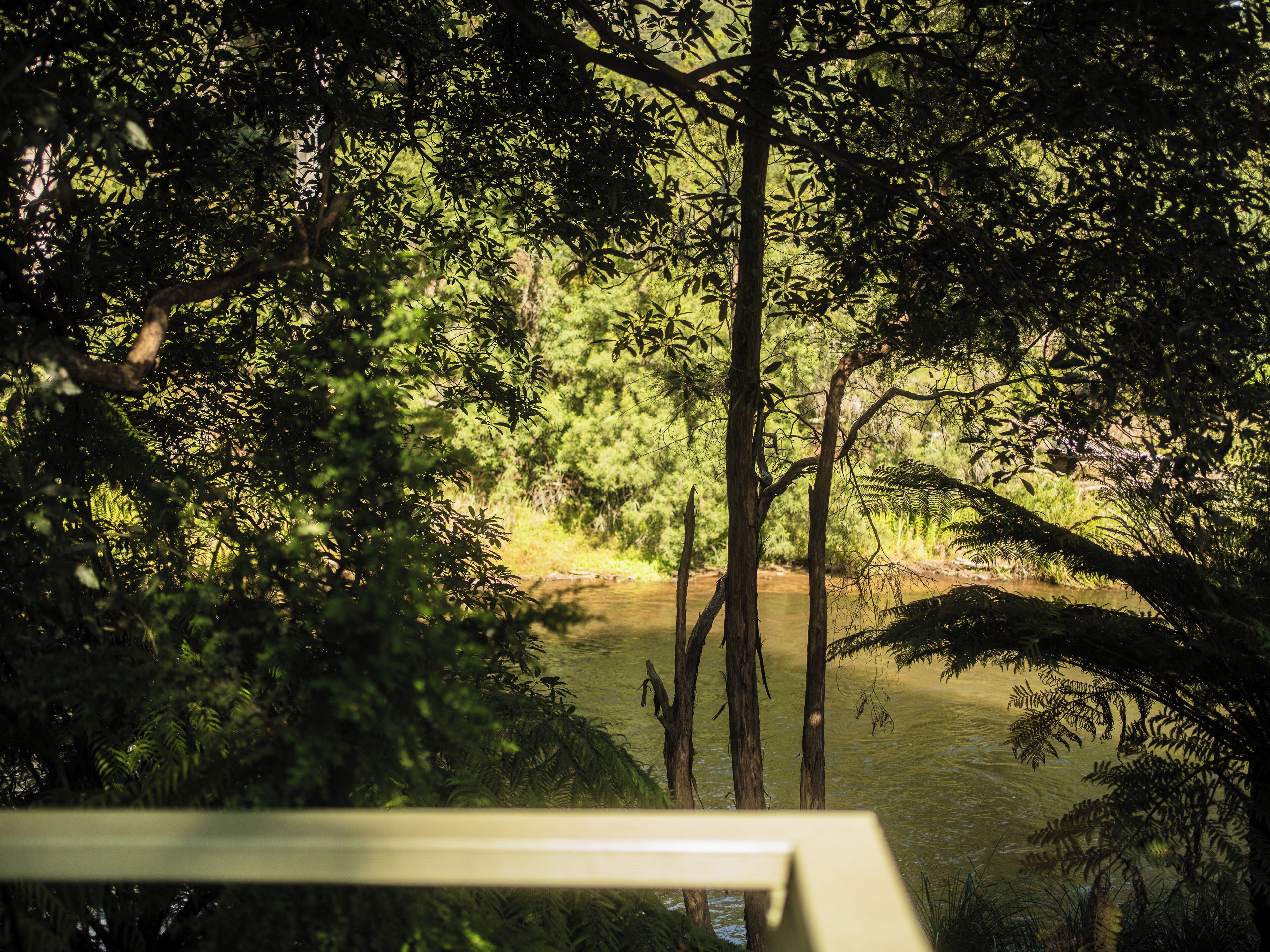 A natural landscape with dense foliage and a river, viewed through a structure with a railing.