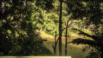 A natural landscape with dense foliage and a river, viewed through a structure with a railing.
