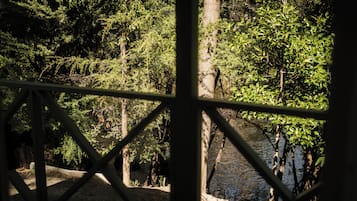 Vista a través de una ventana con marco de metal, un paisaje natural con árboles y una masa de agua.