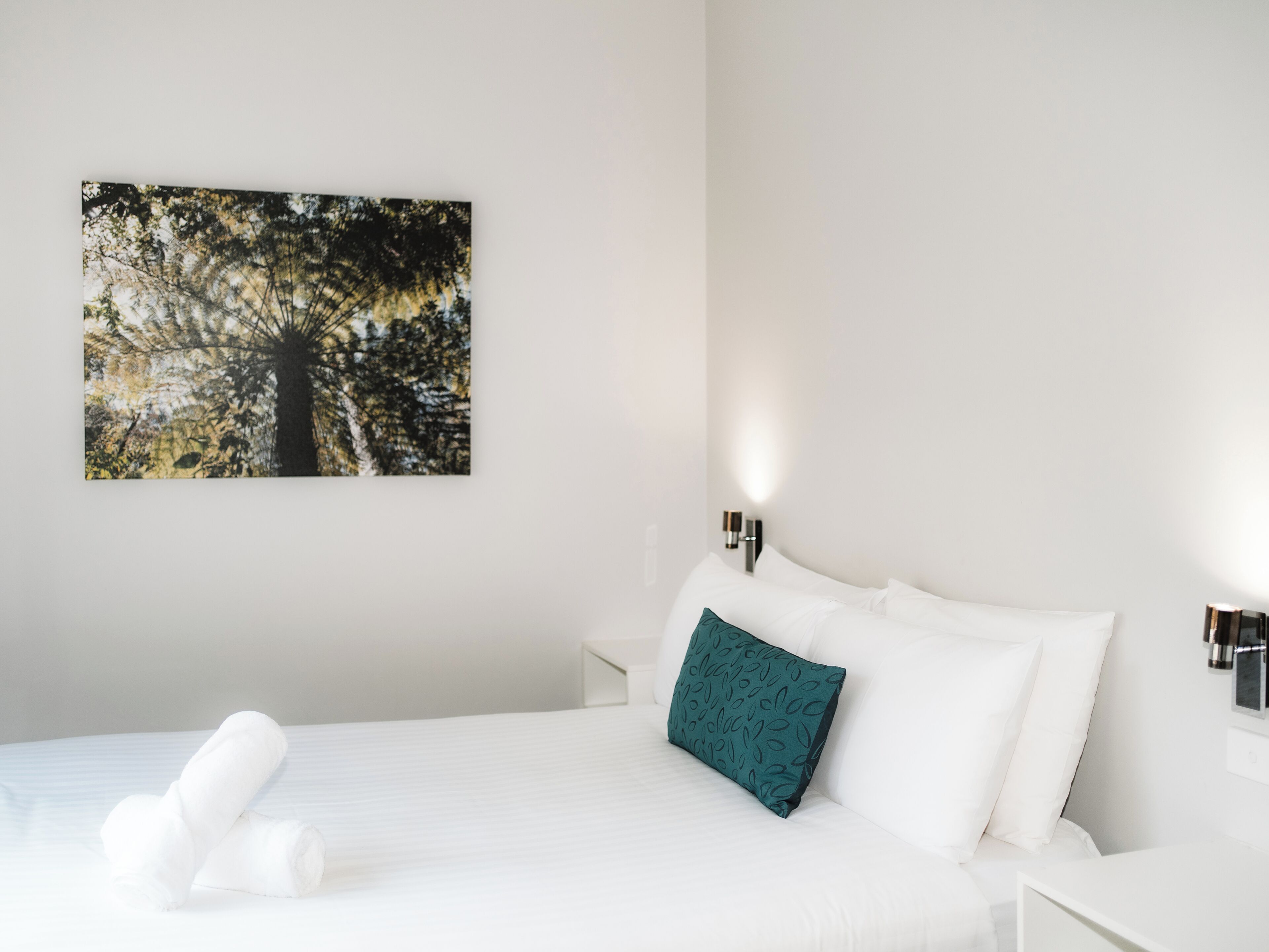A hotel room with a bed, white bedding, a teal pillow, a wall-mounted picture of a tree, and bedside lamps.