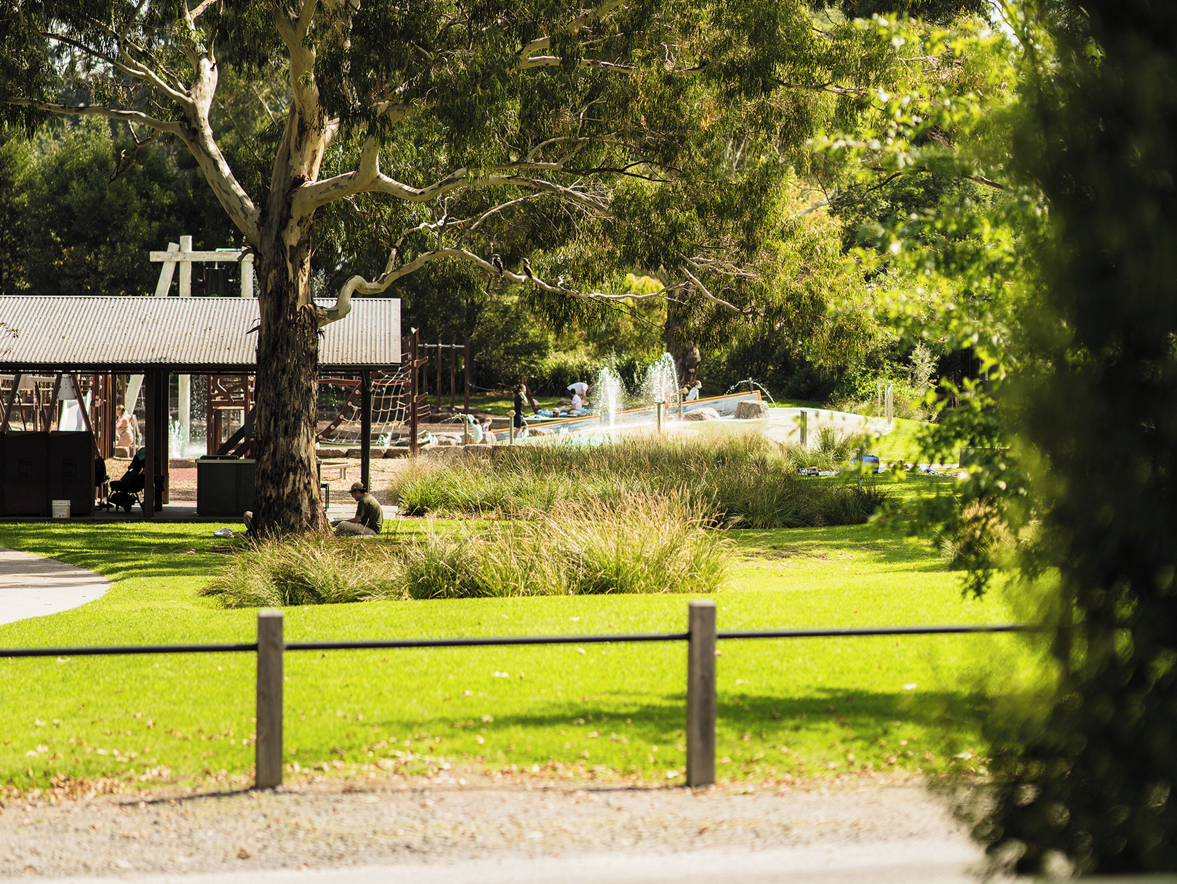 Garden view