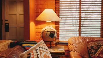 Smart TV, fireplace, books