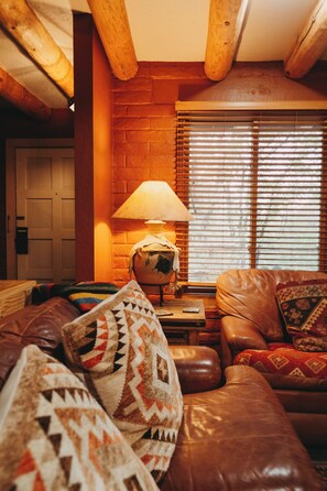 Smart TV, fireplace, books