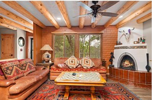 Smart TV, fireplace, books