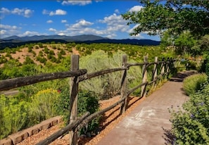 A wooden fence with a concrete pathway.