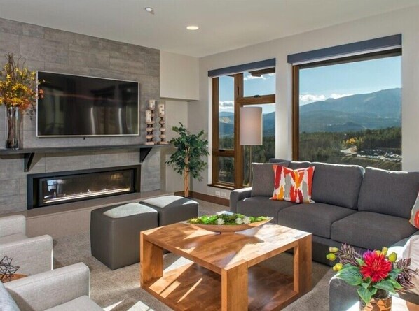 Smart TV, fireplace, DVD player, books