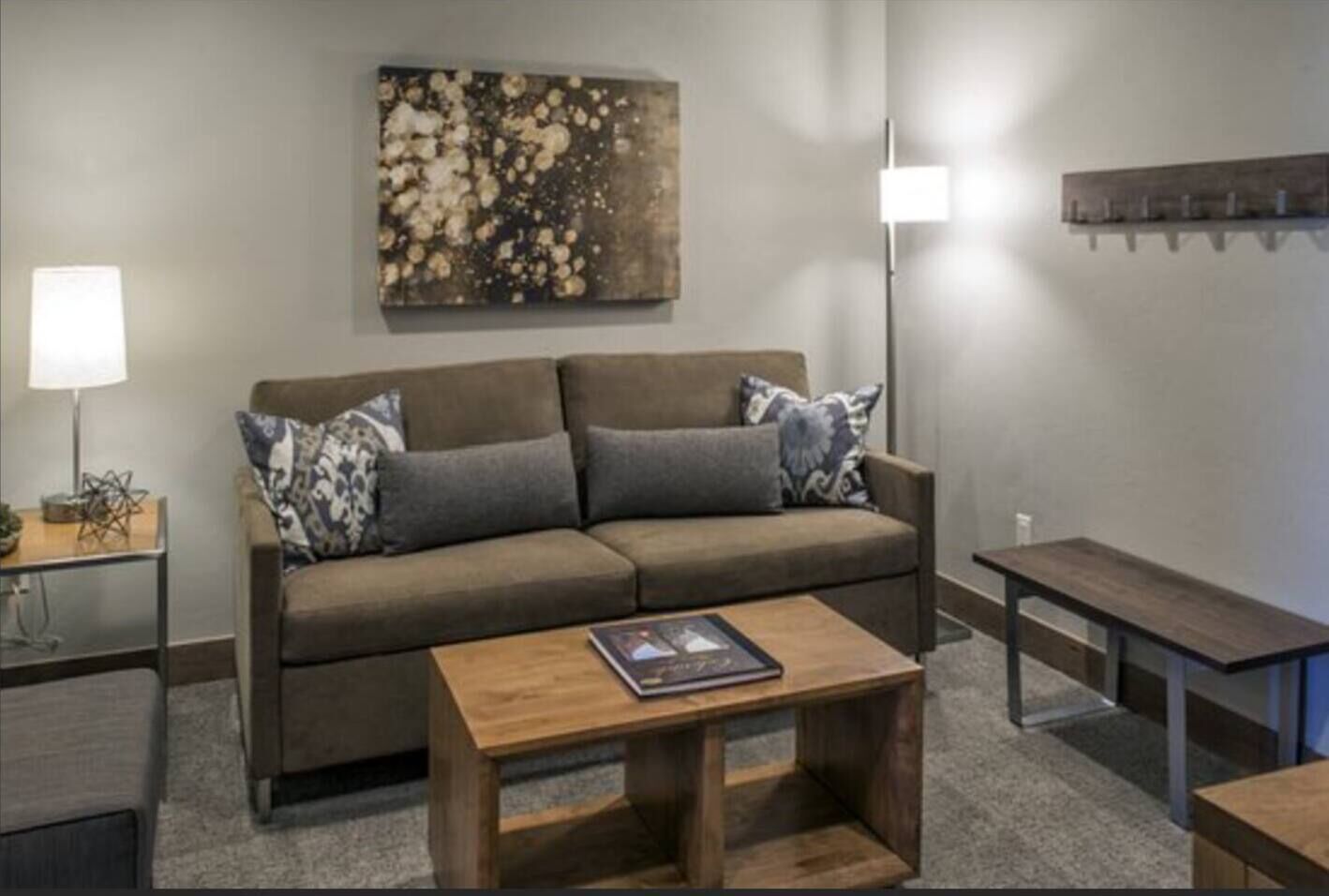 Main living space- living room, kitchenette, sofa bed, Smart TV and bathroom attached to the Main Bedroom.