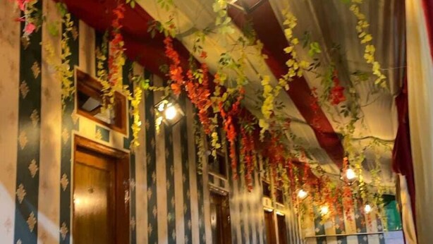 A corridor with striped wallpaper, hanging plants, and a light fixture. - New View Inn (Varanasi)
