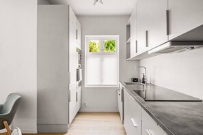 Fridge, oven, stovetop, dishwasher