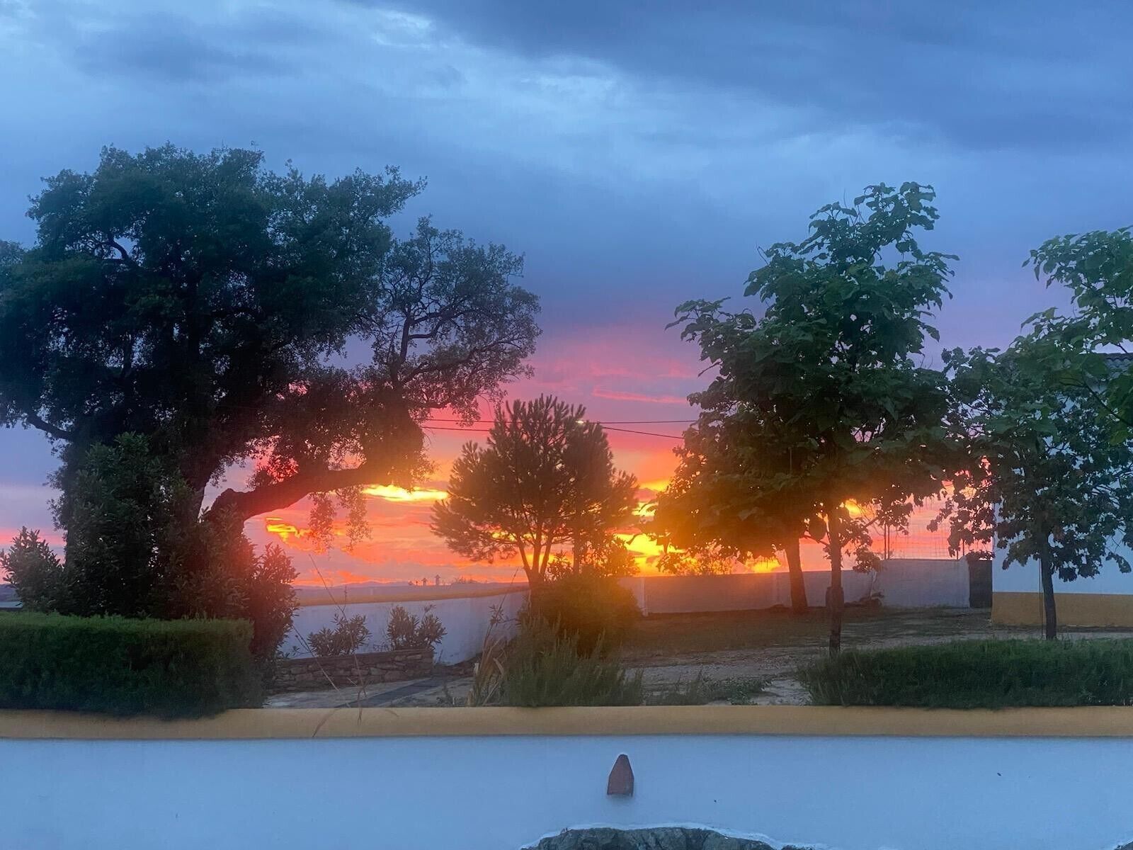 Vista al atardecer con árboles y cielo despejado.