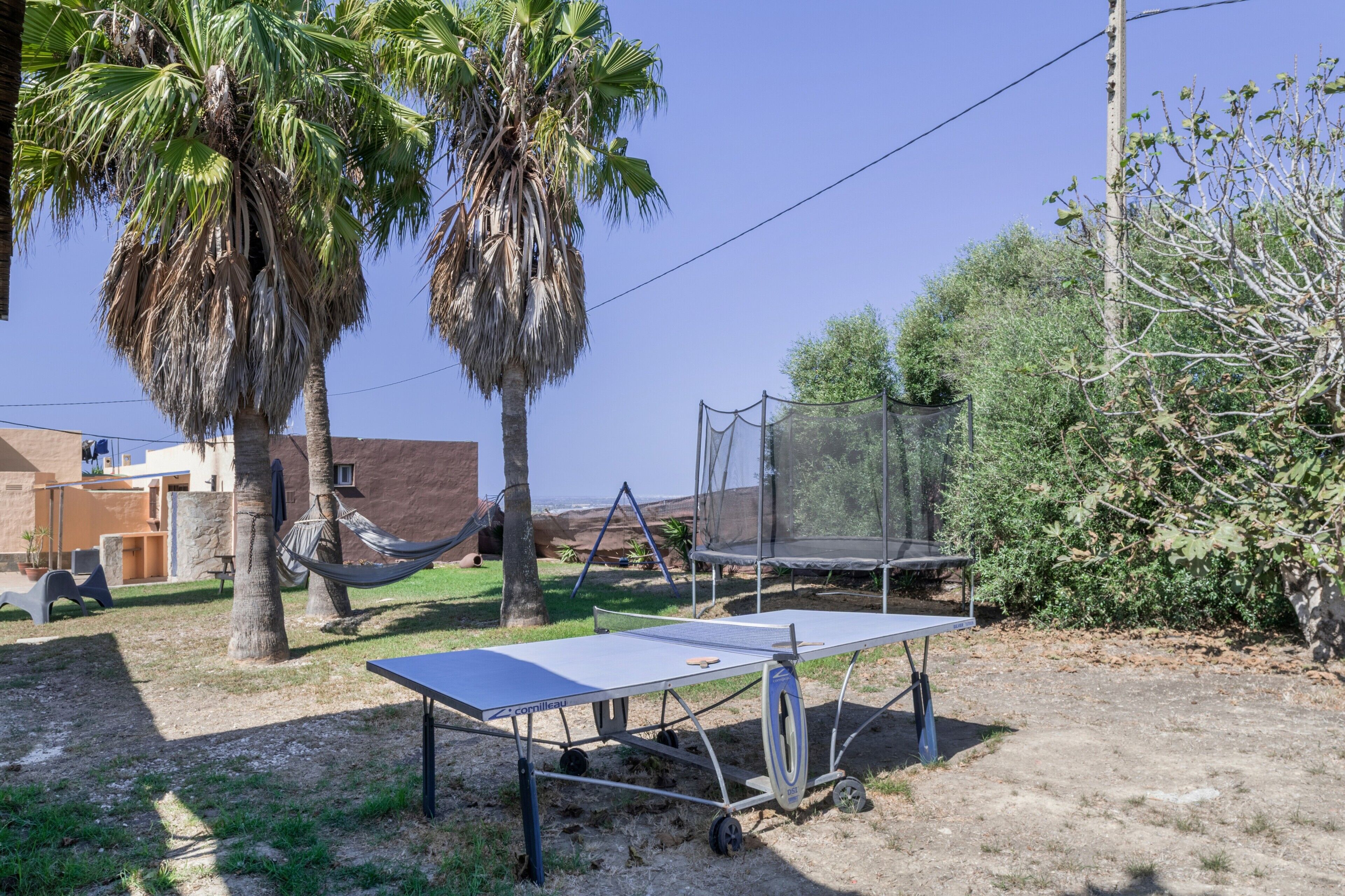 An outdoor area with a table tennis table, a hammock, and palm trees.