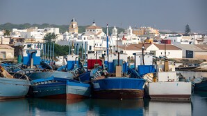 Un puerto con barcos amarrados, edificios al fondo y un cielo despejado.