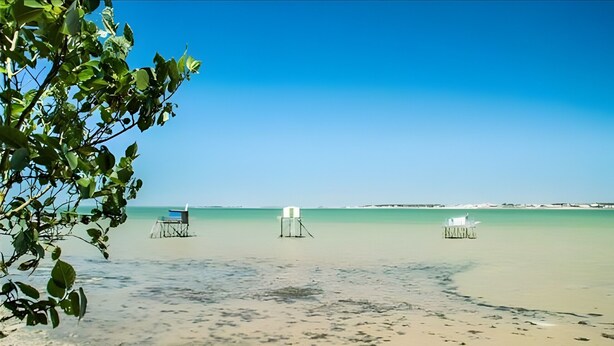 Una playa con agua cristalina, tres sillas de playa blancas y una costa lejana.