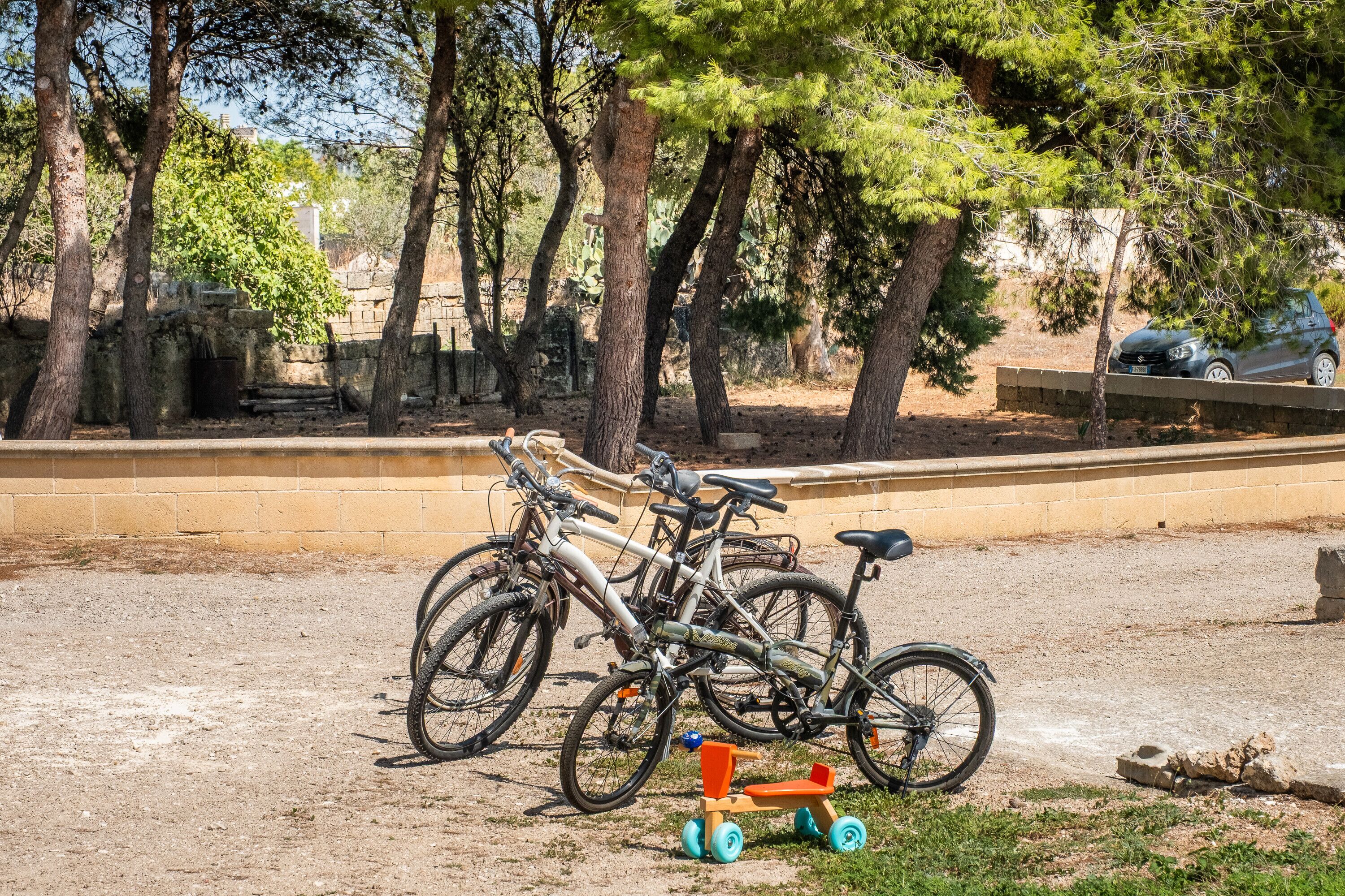 Parco della struttura