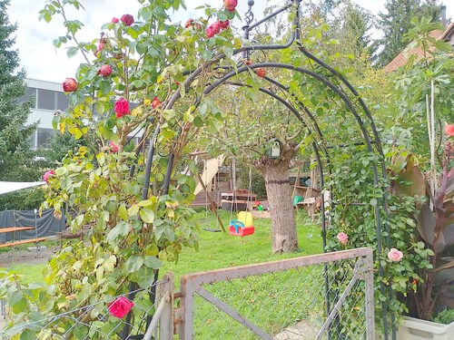 cape Diem
top destination for recreation or business